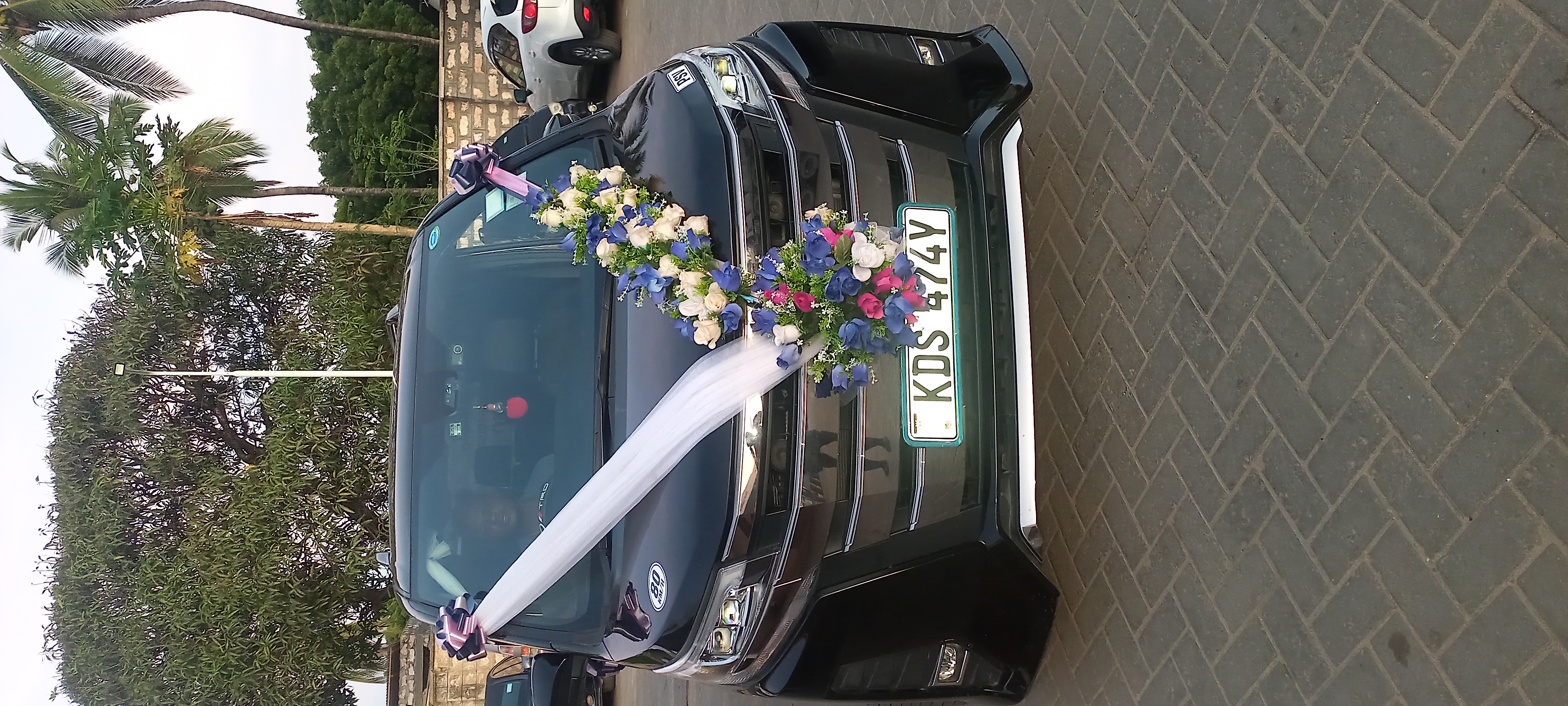 Jino Tours Background